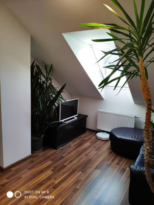 Tolle Wohnung in zentraler Lage in Neu-Ulm Exterior foto